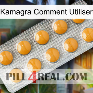 Kamagra How To Use levitra1